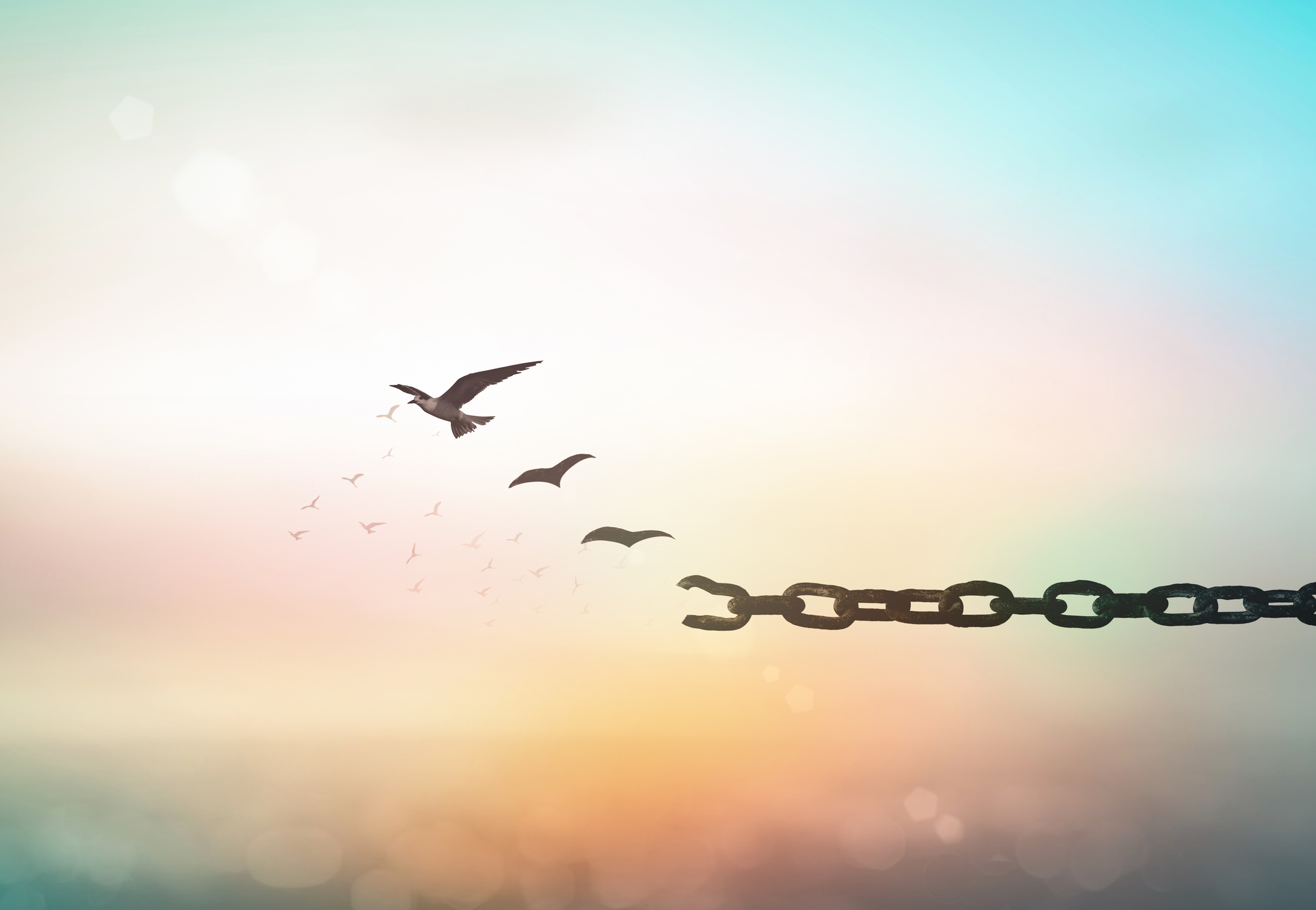 Silhouette of bird flying and broken chains at blurred sunset background
